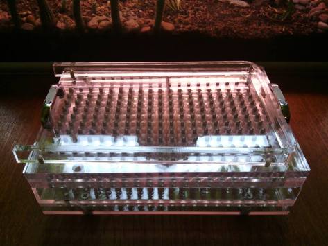 10565194_574788362632571_3955235427236606130_n